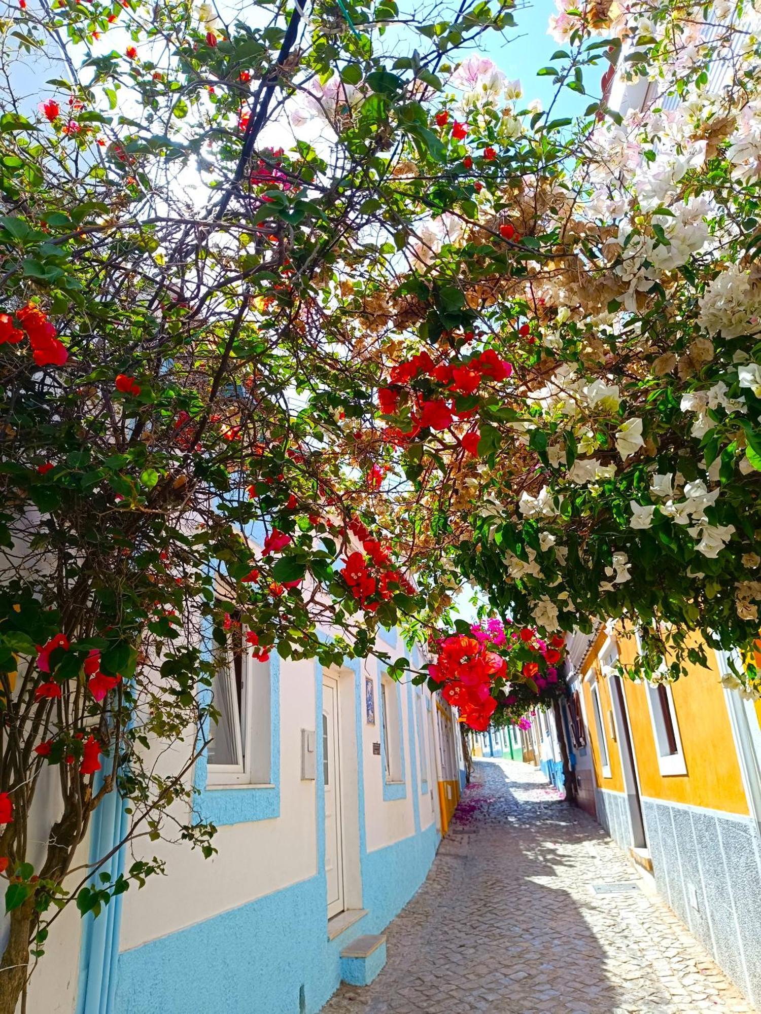 Wonderful Apartment In Ferragudo 2Double Beds Near Beaches And Golf 외부 사진