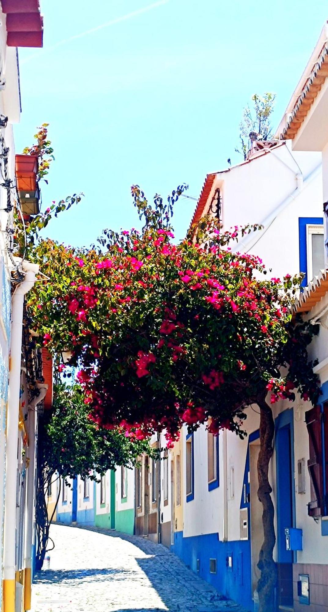Wonderful Apartment In Ferragudo 2Double Beds Near Beaches And Golf 외부 사진